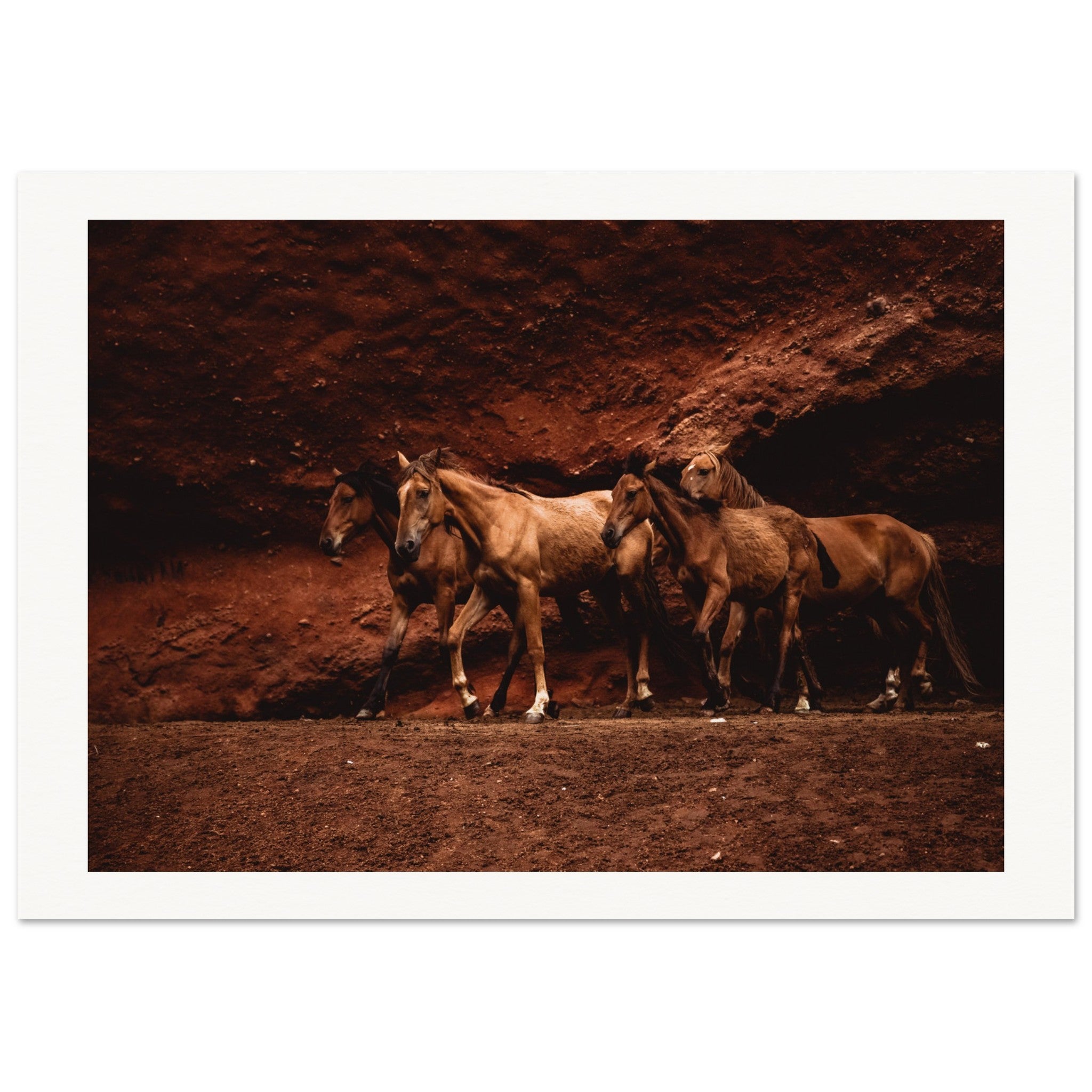 93172767-7128-4b13-9e81-64ef99753adf