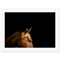 93288886-9635-4df2-8184-aea895e1bba5