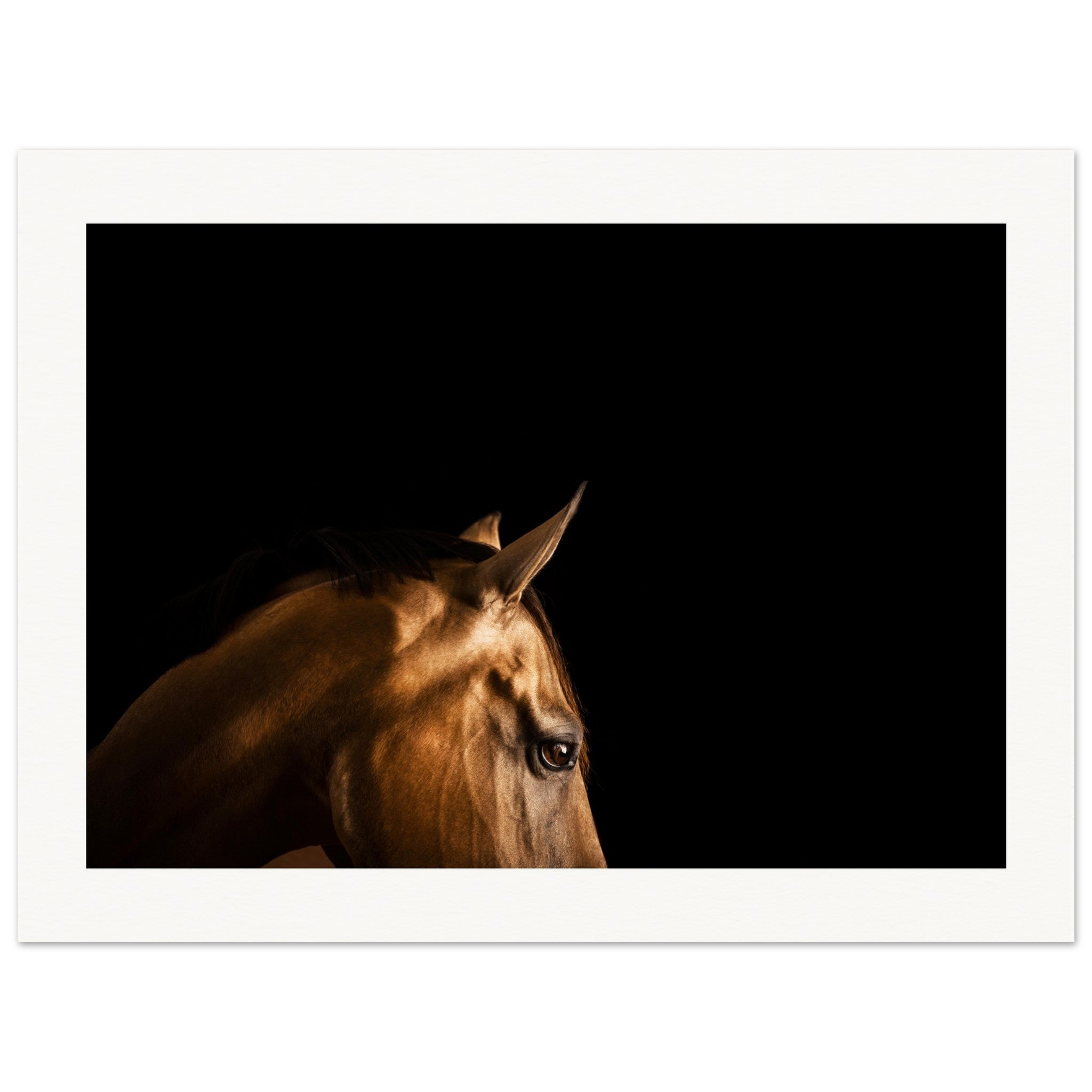 93288886-9635-4df2-8184-aea895e1bba5