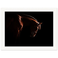 93355eba-c4a7-4cad-9c73-82641d538021