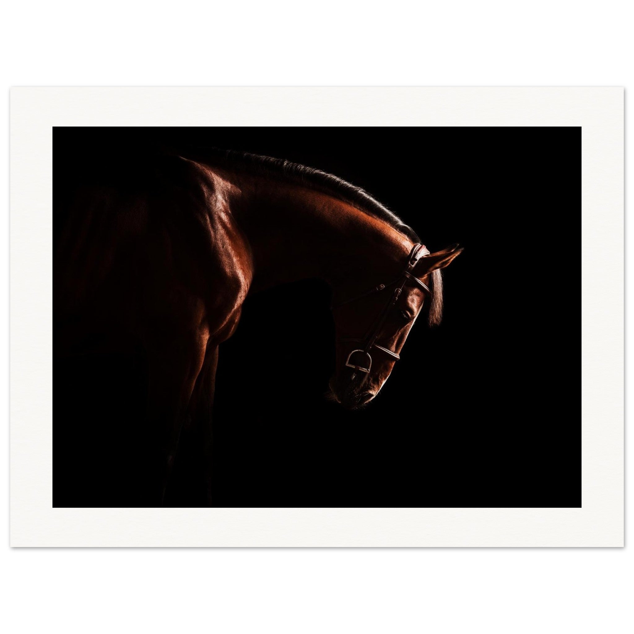 93355eba-c4a7-4cad-9c73-82641d538021