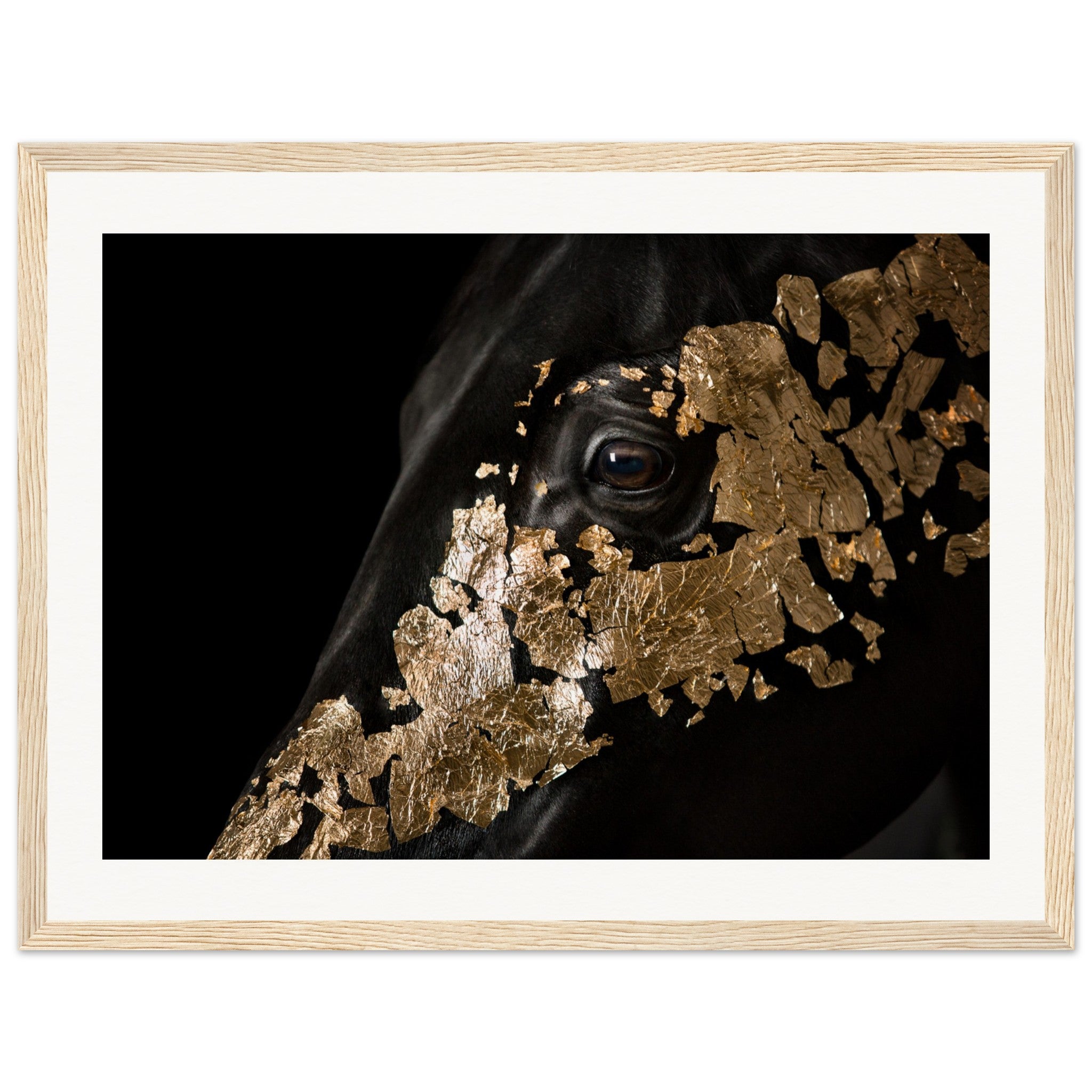 93ae6c55-5386-4a1d-8034-a355983b74ea