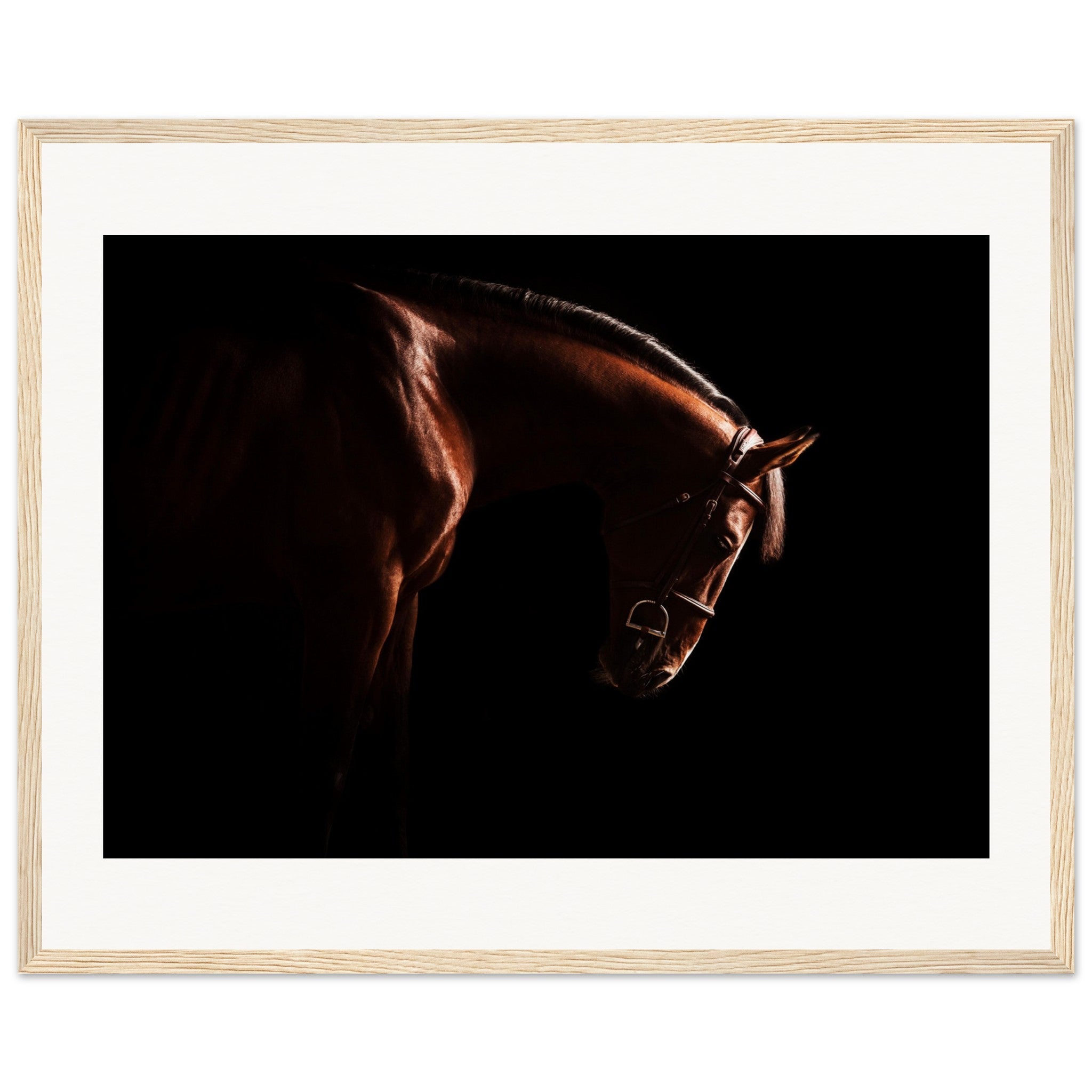 93c691d6-df36-4419-bf5a-f7a052c0f3f0