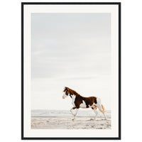 93d178d1-a612-4cc3-9b6d-97de996a96df