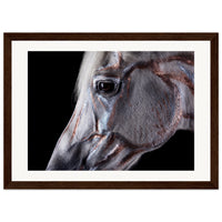 943a37fe-cfc3-42ed-bc19-f41e69d0d960