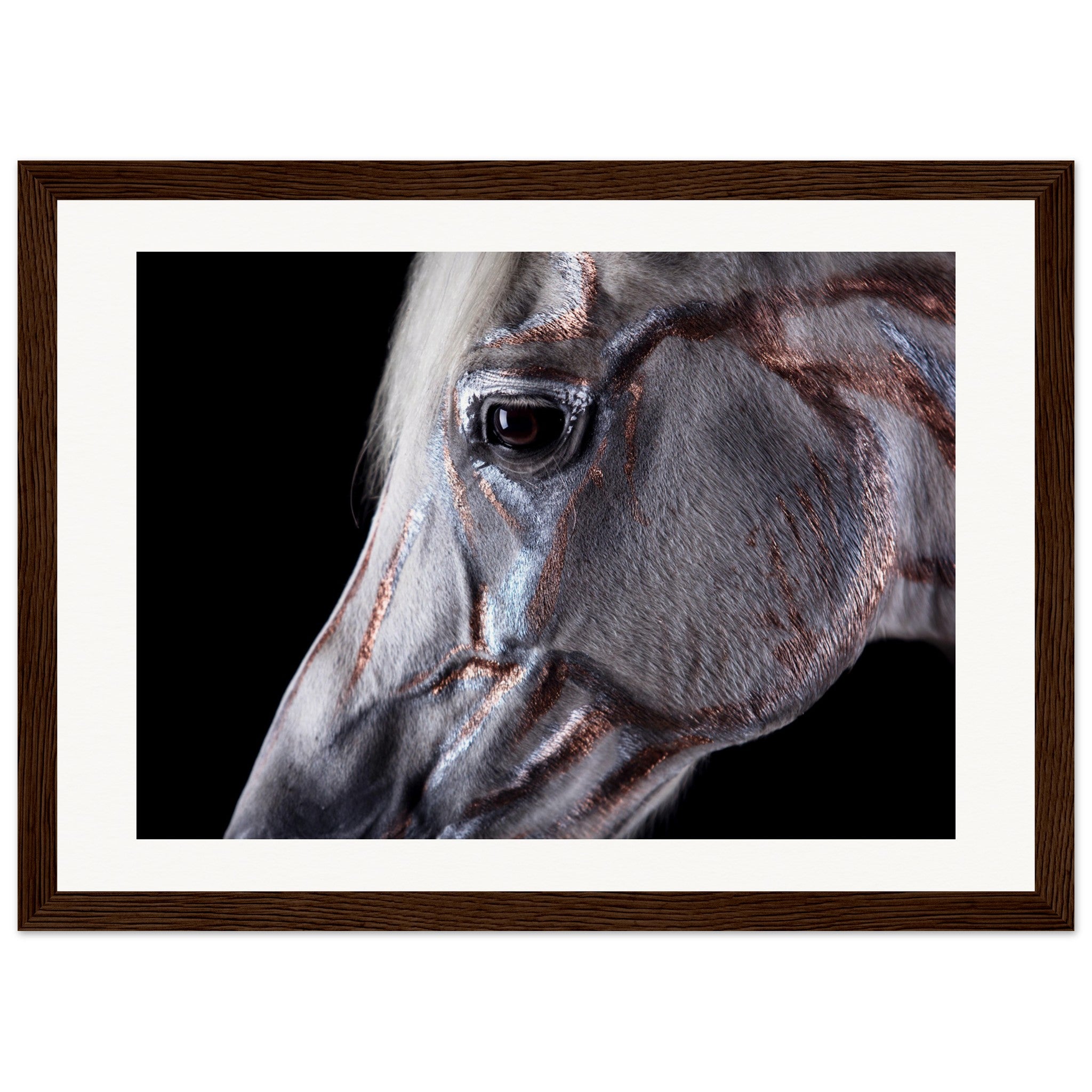 943a37fe-cfc3-42ed-bc19-f41e69d0d960