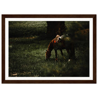 94bedb95-ba36-425b-b8bf-6229bd16301d