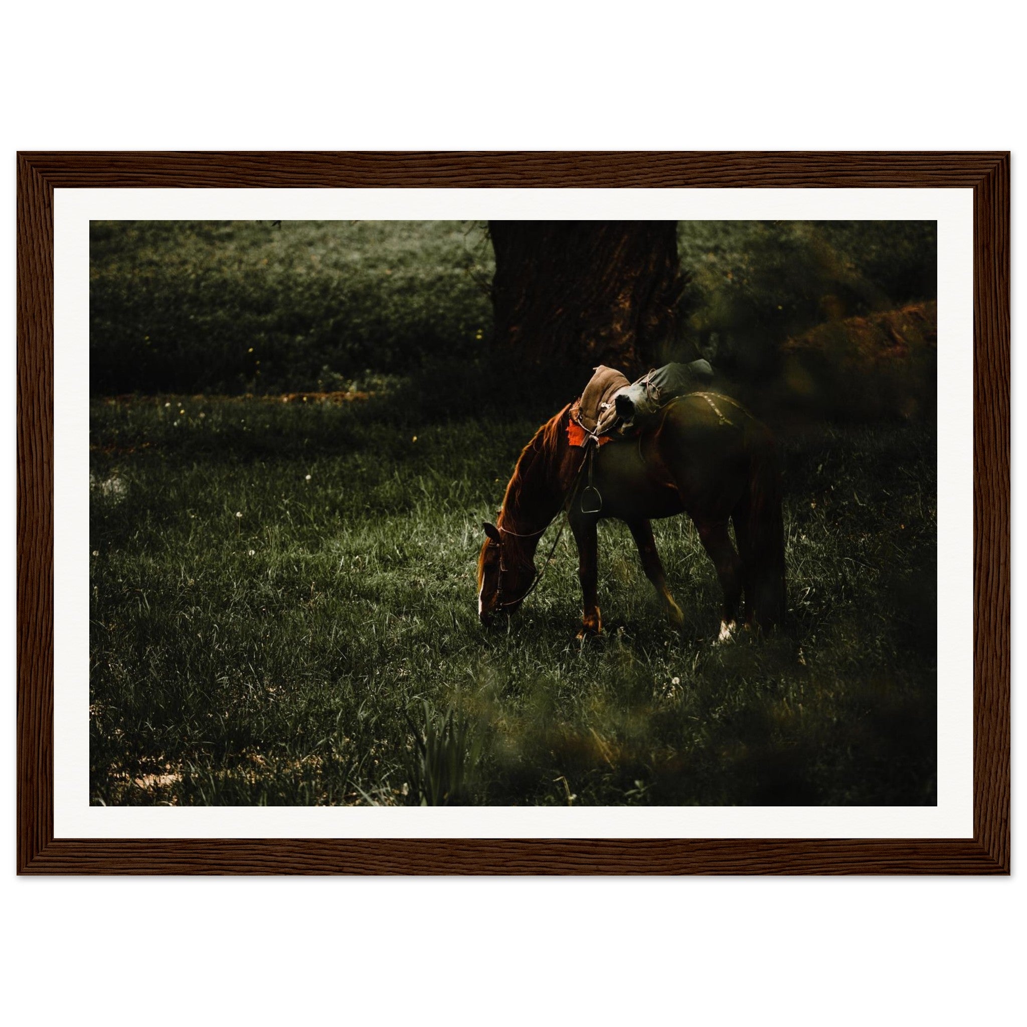 94bedb95-ba36-425b-b8bf-6229bd16301d