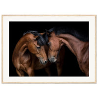 94e422d9-8503-4818-8d55-a6f8504bad6b