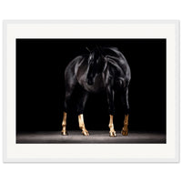 958b77a0-e181-4edf-8f8e-f10843635338