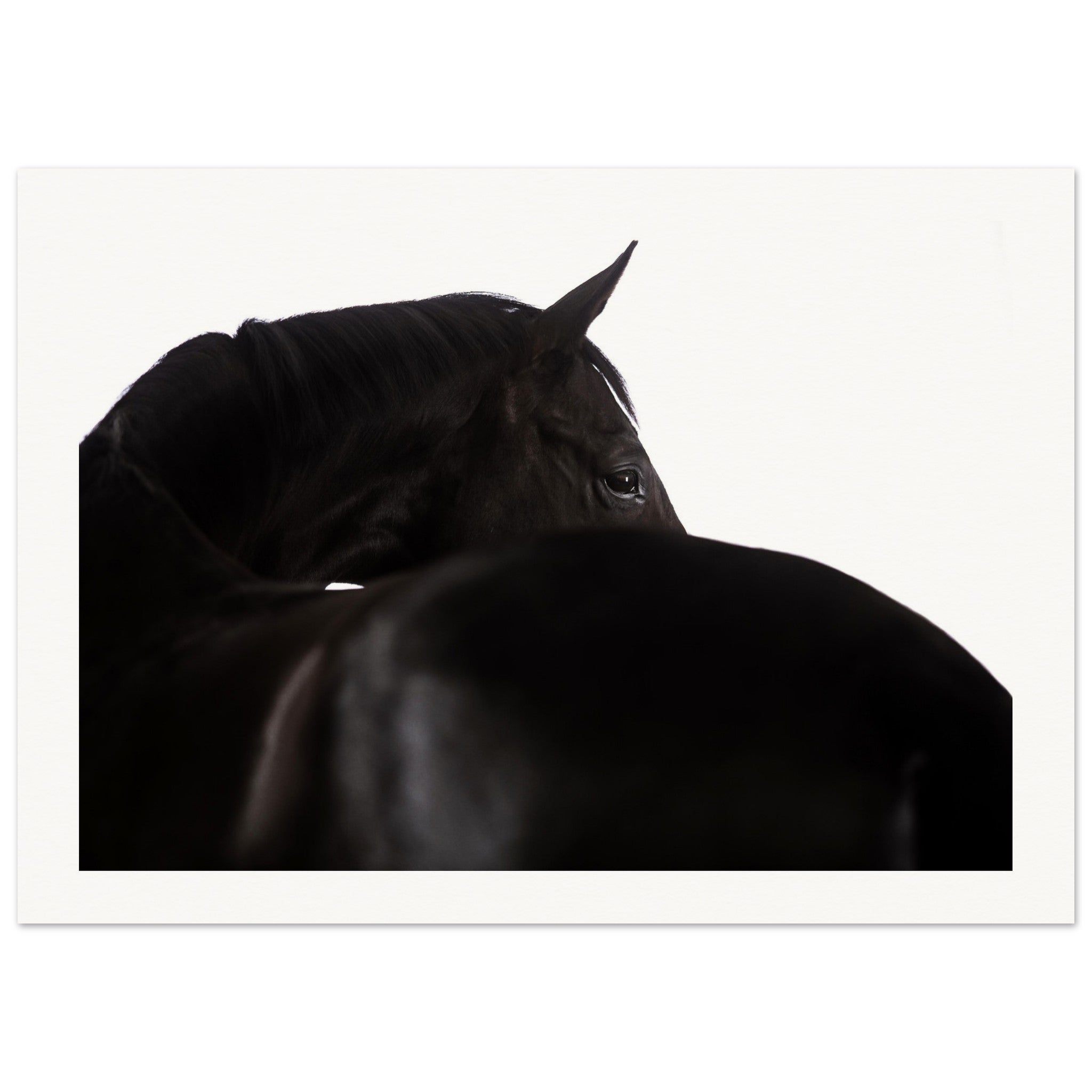 95b0d9b3-a34d-40c7-948c-95f71dc804dd