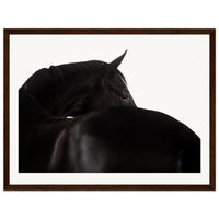 95d0717c-e2cd-4095-80d7-f0c3250e1343