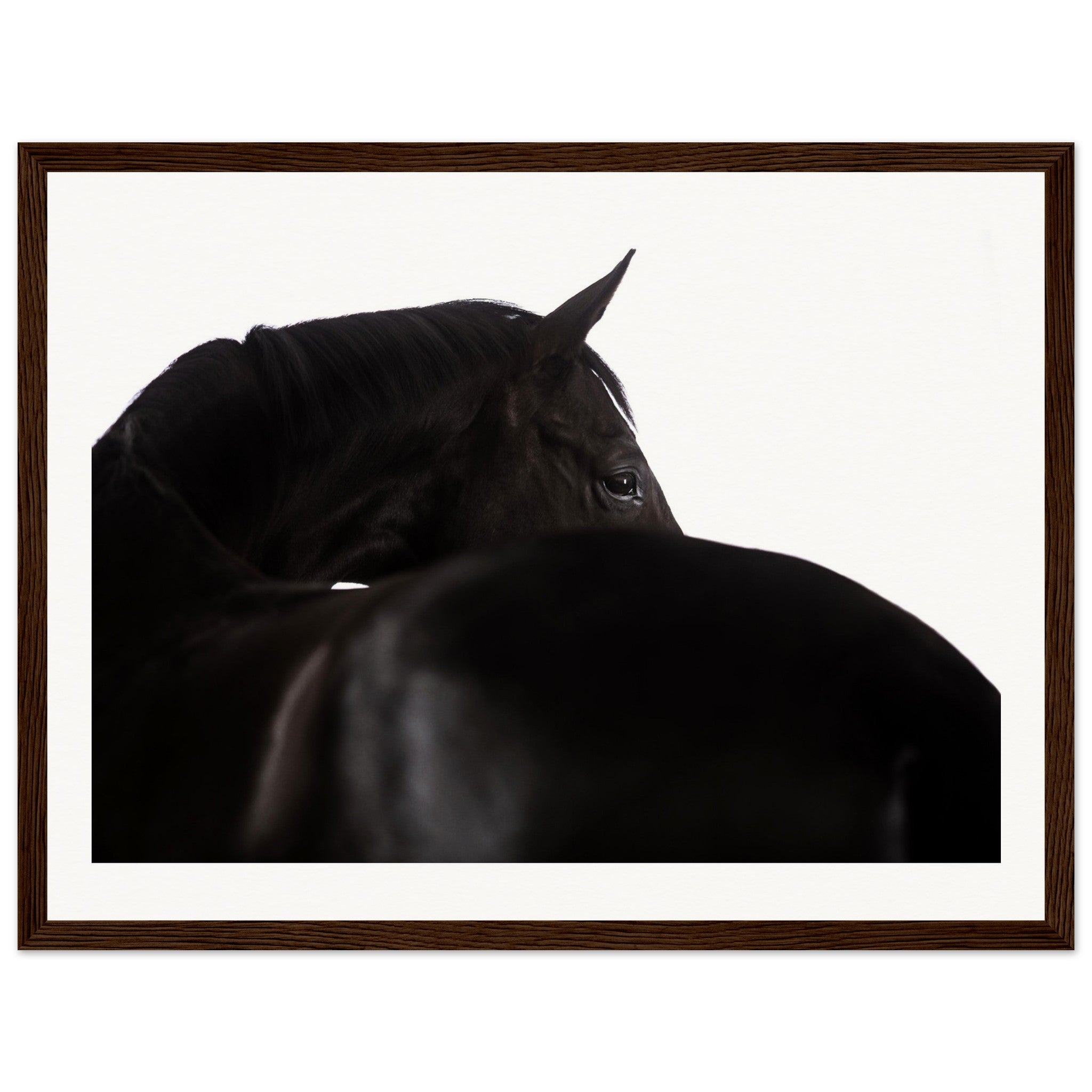 95d0717c-e2cd-4095-80d7-f0c3250e1343