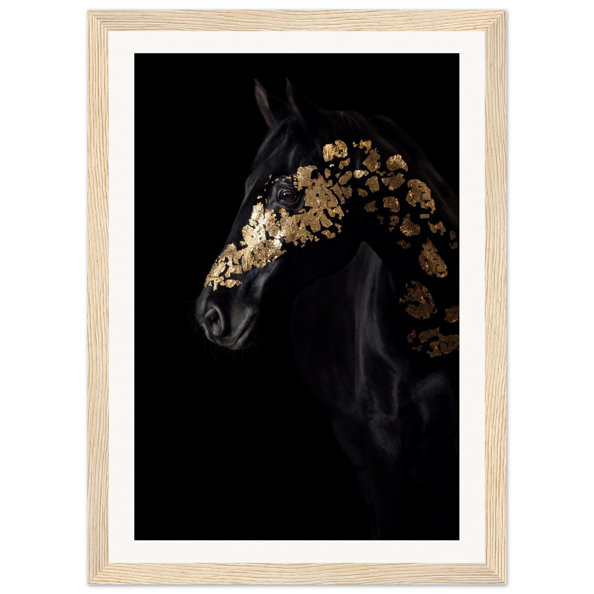 964207d8-1f66-4afc-9223-0c177d9fe3bd