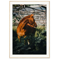 965e62b4-e215-4eb5-bb6b-59072e39108f