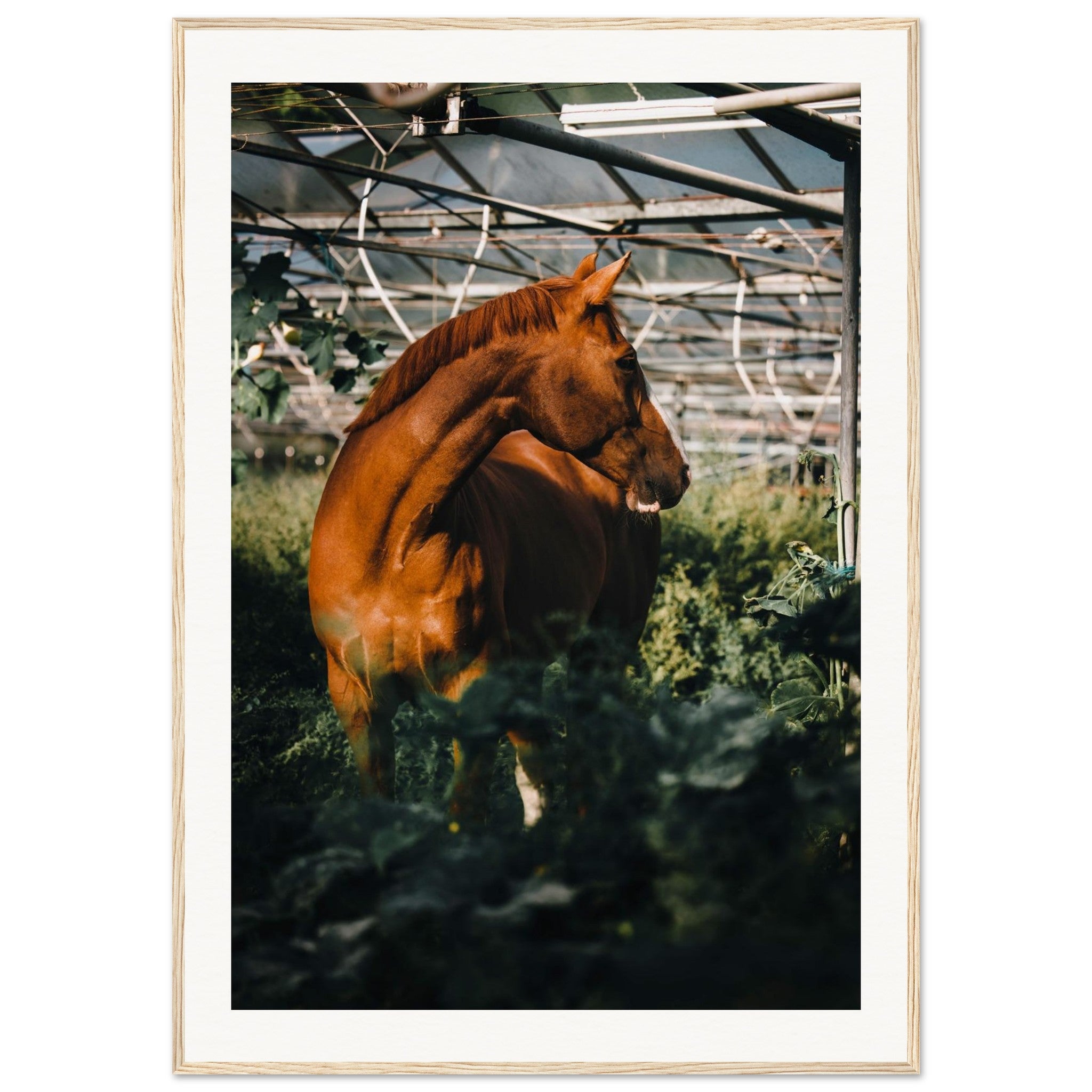 965e62b4-e215-4eb5-bb6b-59072e39108f