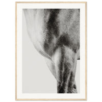 96d5ed8f-4498-4d2b-a6c6-73aab5e4b4cb