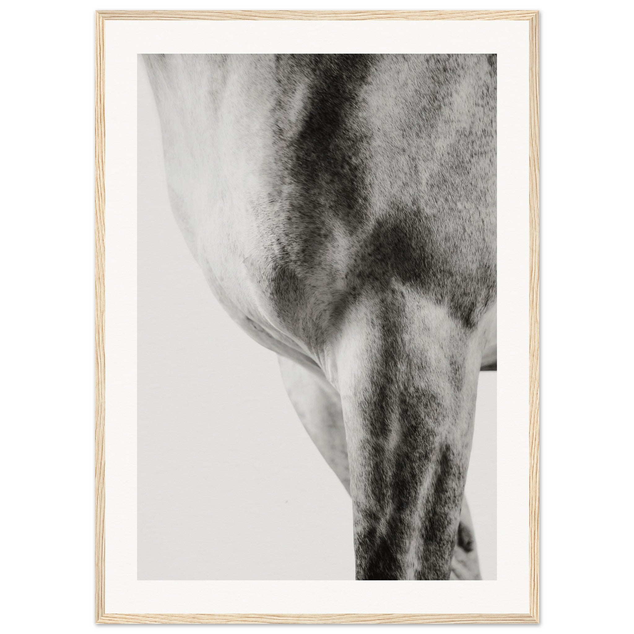 96d5ed8f-4498-4d2b-a6c6-73aab5e4b4cb