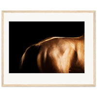 96fc604a-d88c-420e-9980-cb8104055452