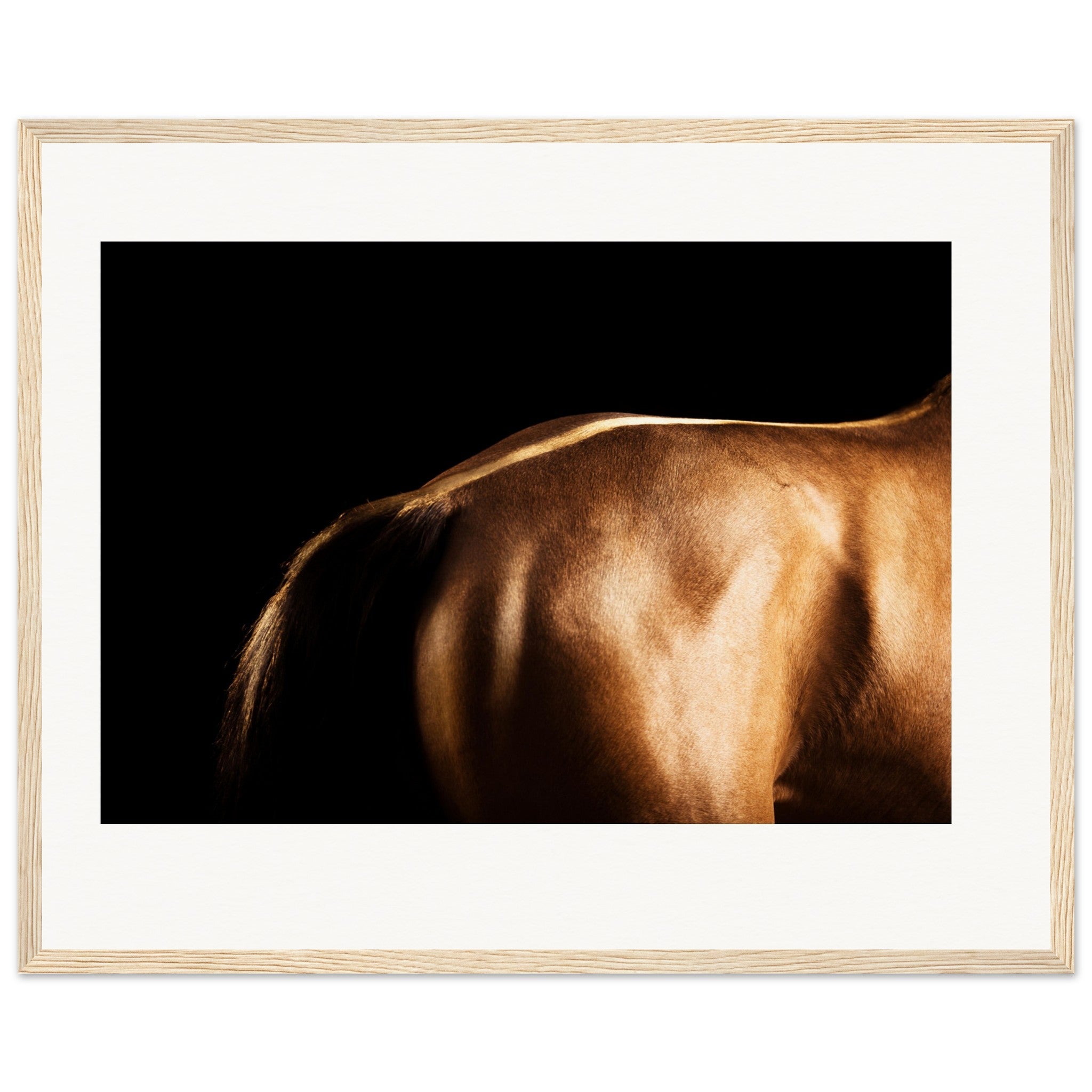 96fc604a-d88c-420e-9980-cb8104055452