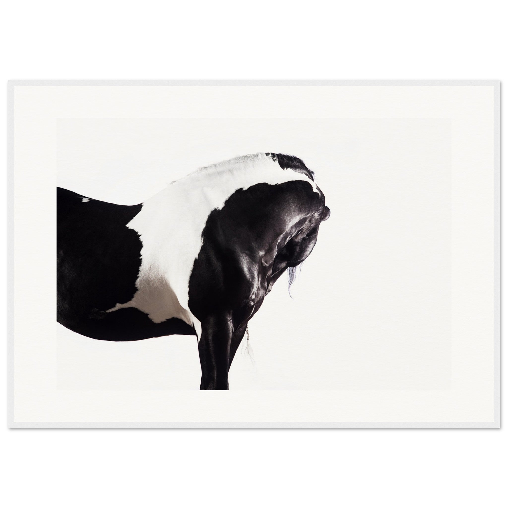 9701015a-79cd-40fd-870b-de0893f51d46