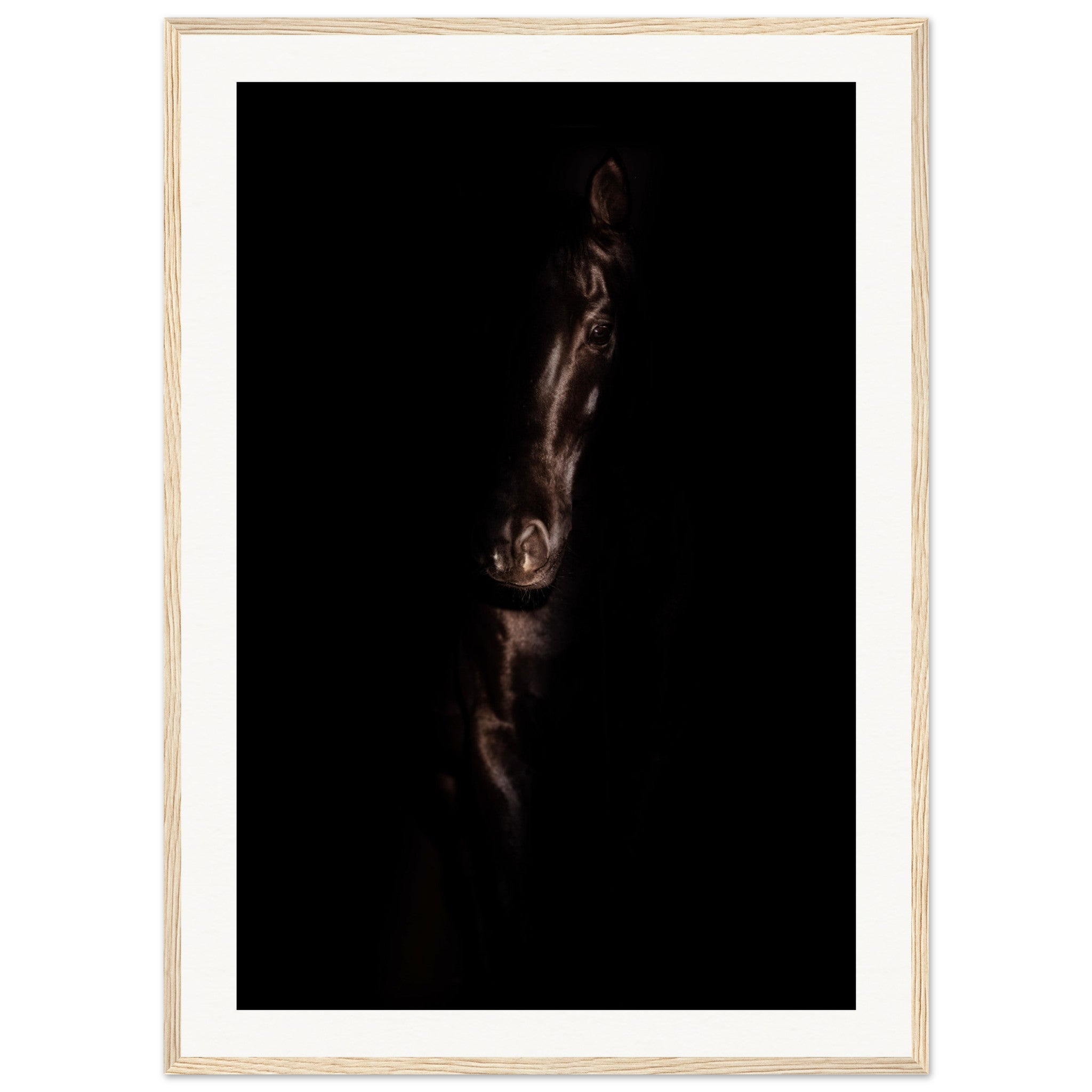 9705d951-47cb-41b5-ac09-e8bc0d3f66ee