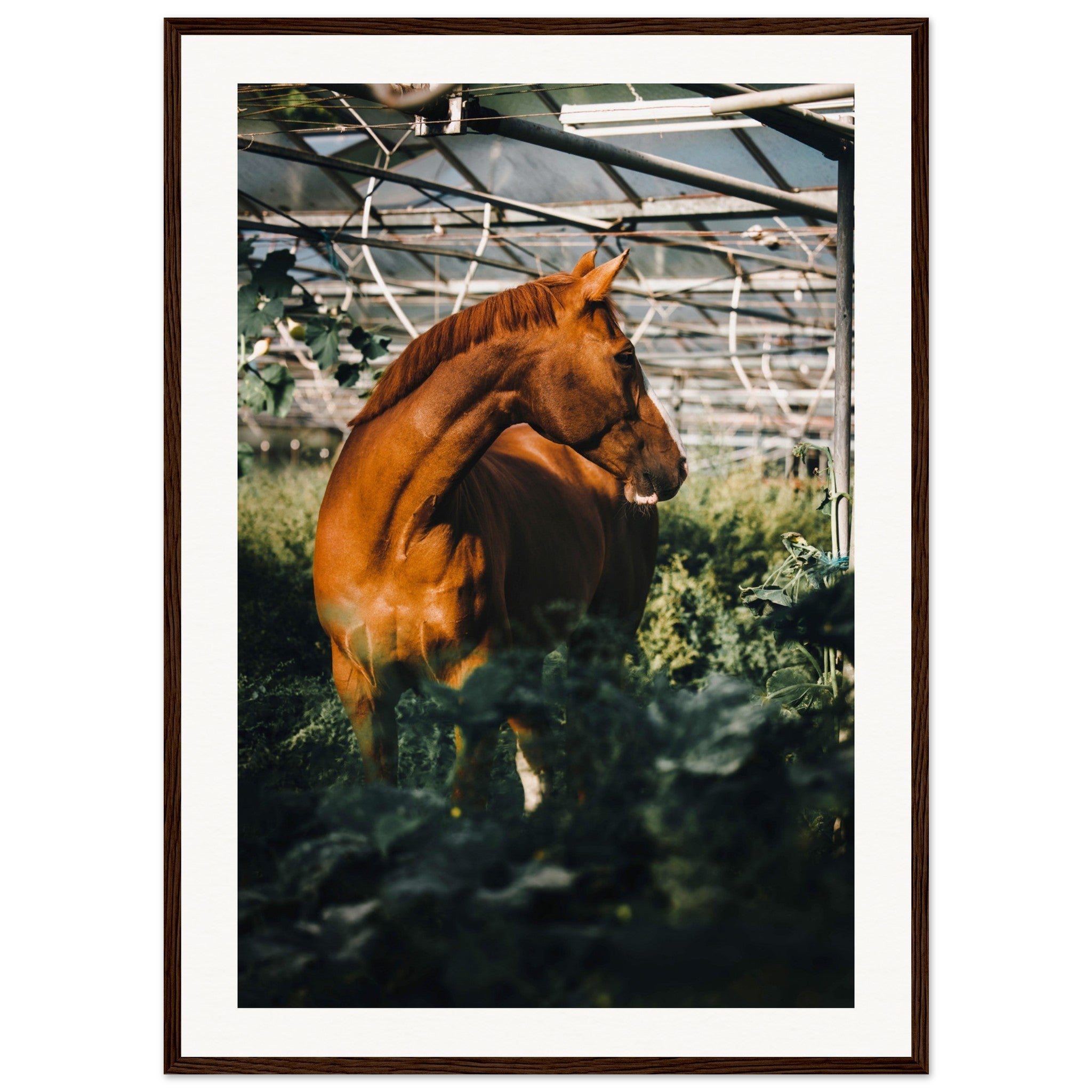 975732ec-76cc-408b-8b9a-2054b73a6d35