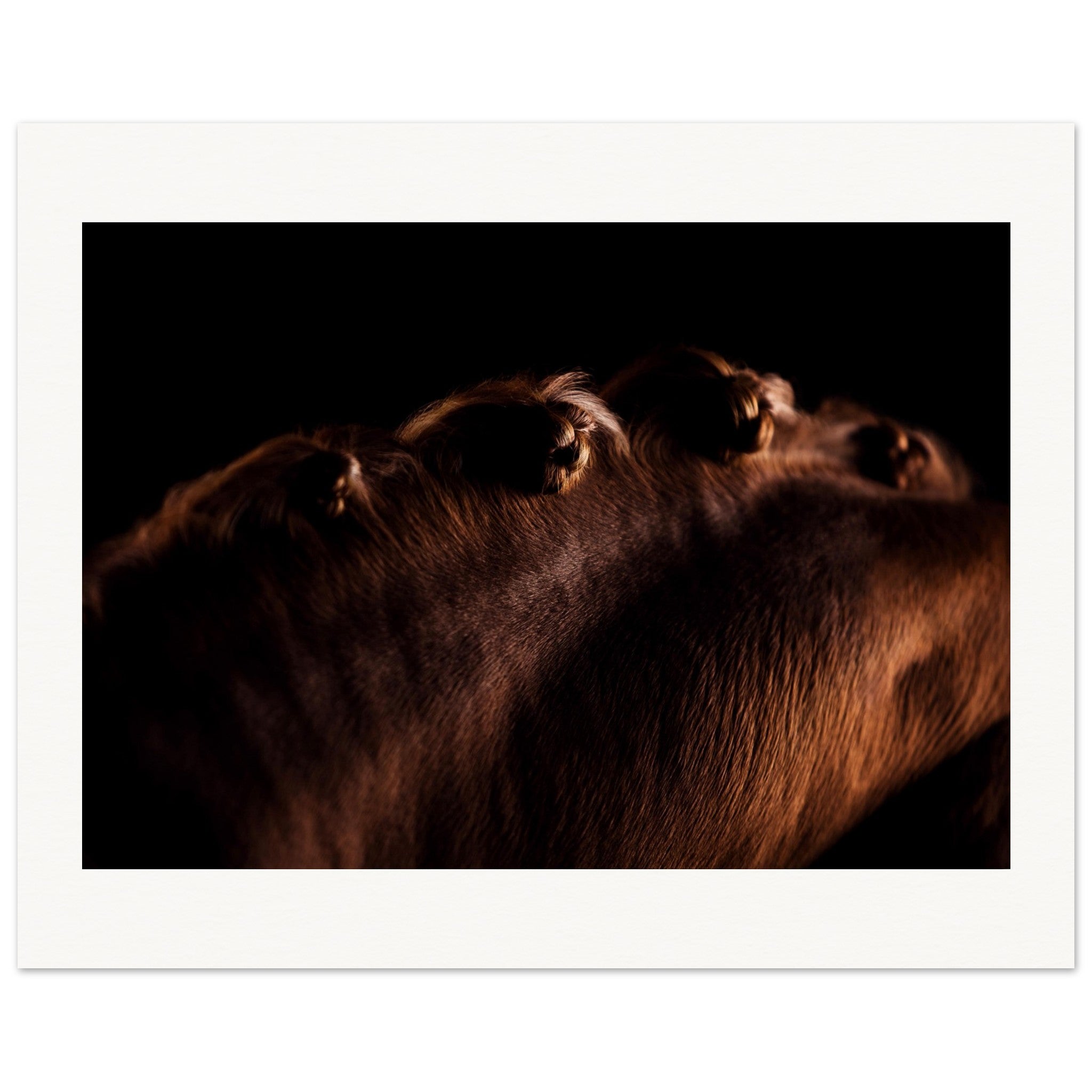 97577121-e8b1-4d68-bd15-68be1b9158d1