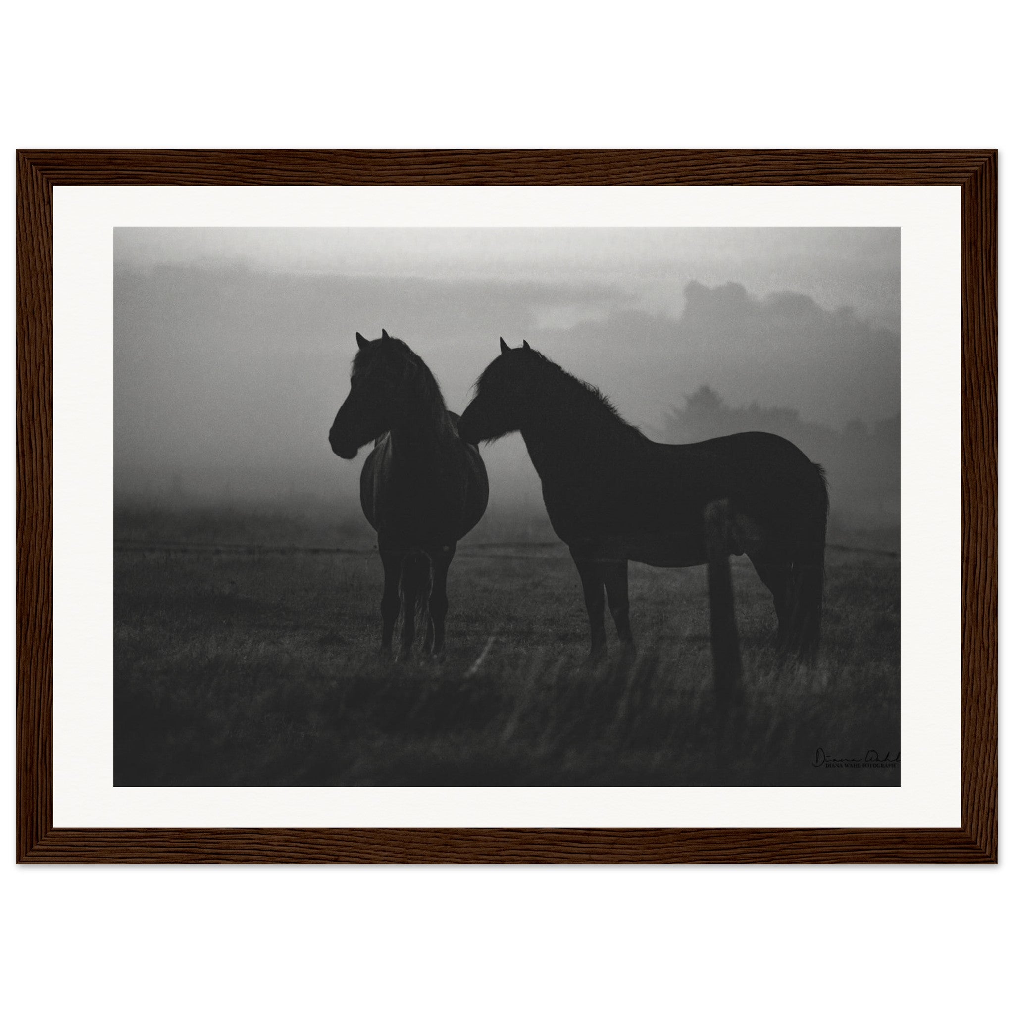 975f013e-f4eb-46f5-b76a-7965e68de898