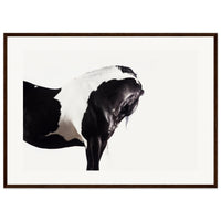 976026ae-62d2-4a74-9d81-ef36dc6b591b