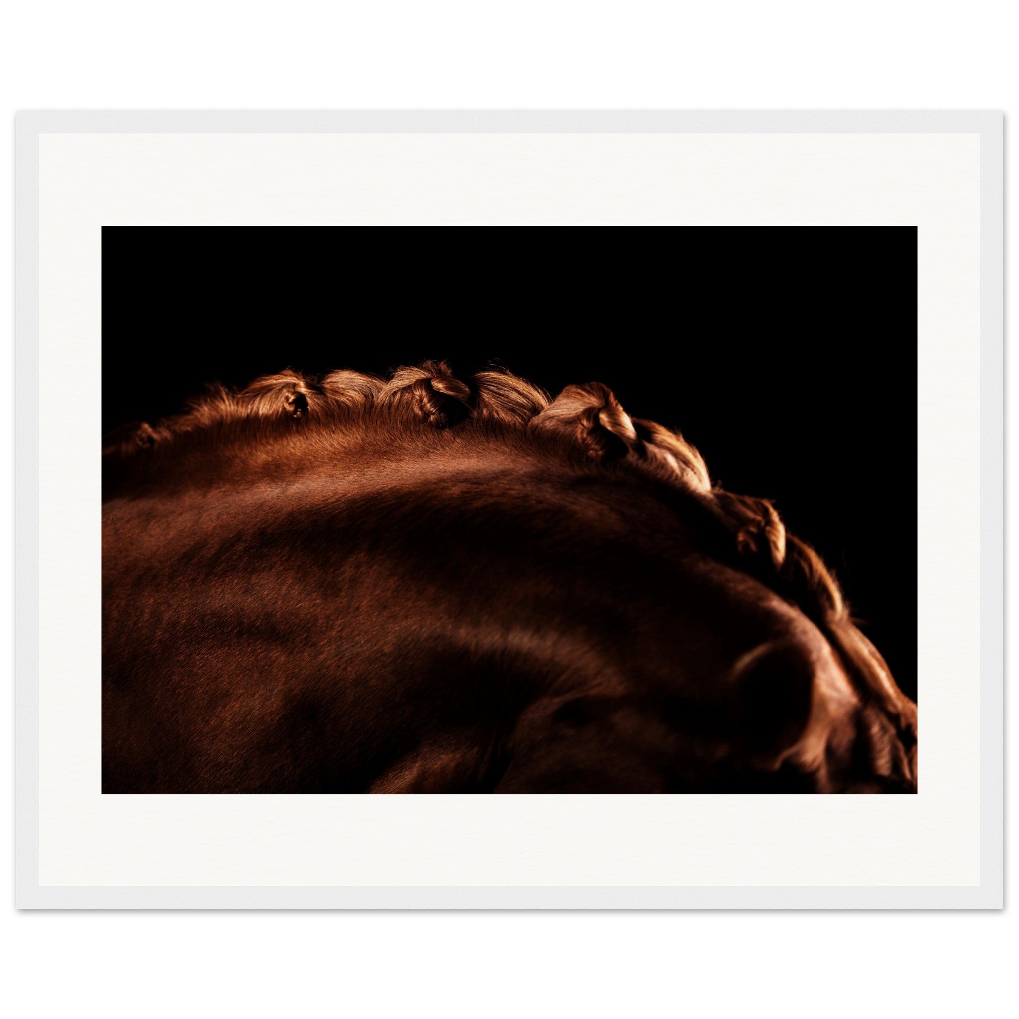 9777891c-7963-45f9-839e-53002659e86b