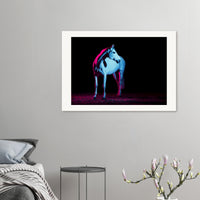 97a95a83-60fe-4967-8fcd-f1b65779c7c8