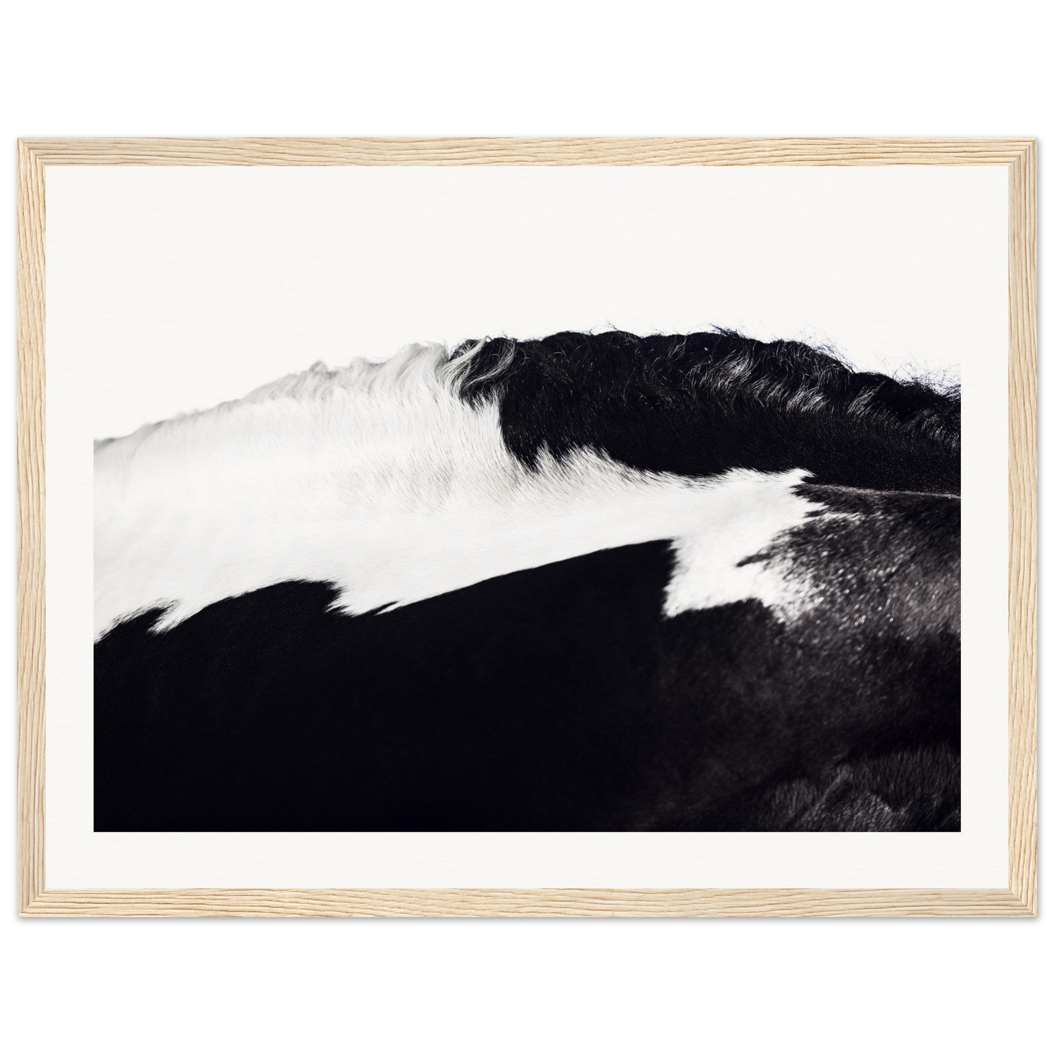 98380b16-1909-40ed-8ad6-72260bda28f4