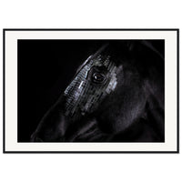 9851b410-fda2-4d78-8b2f-0bd06c3dc4c5