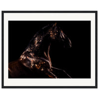 98674caa-beee-496f-81a3-acaf191d2723