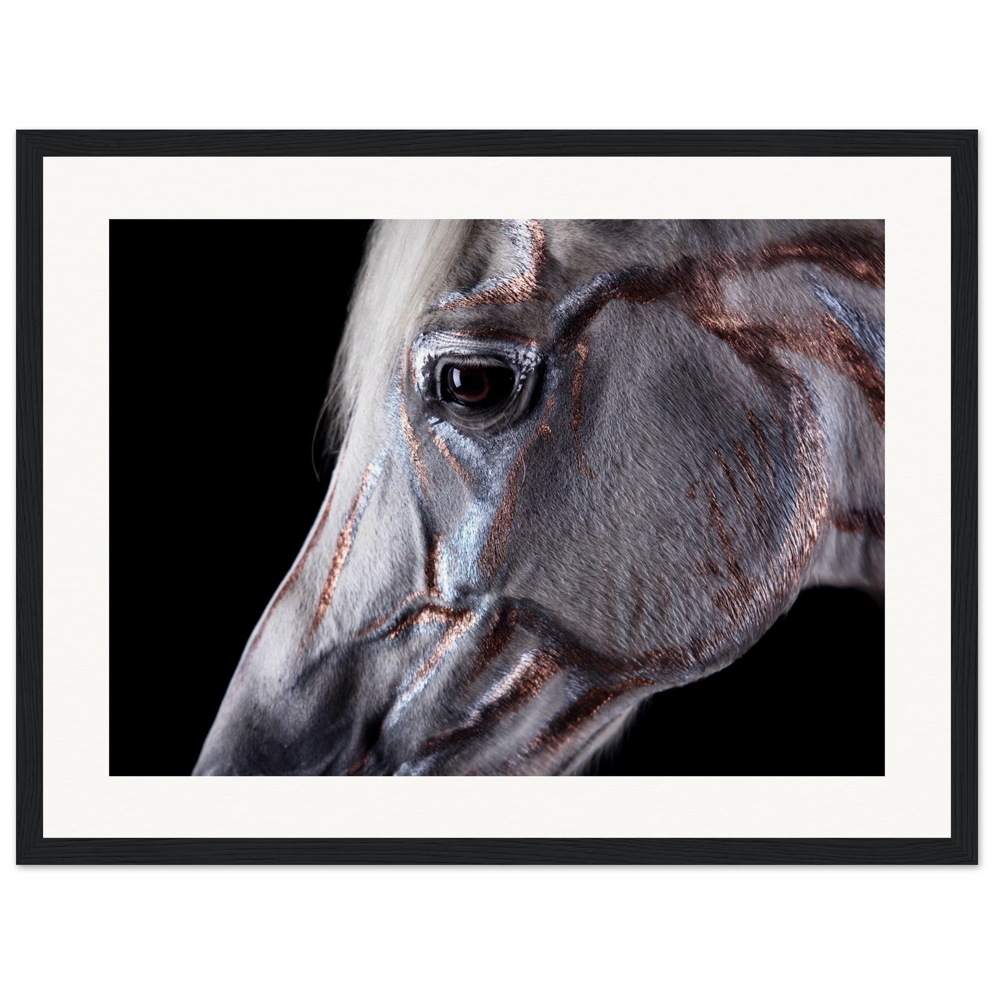 986cd67b-0024-4ff5-8dba-bbe2af82ad80