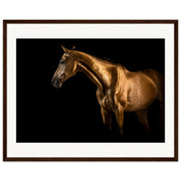 98e9933b-1a98-4c5a-b3dc-64b47339cf79