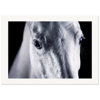 98f292d7-14be-4f68-91eb-f4b858eeebe6