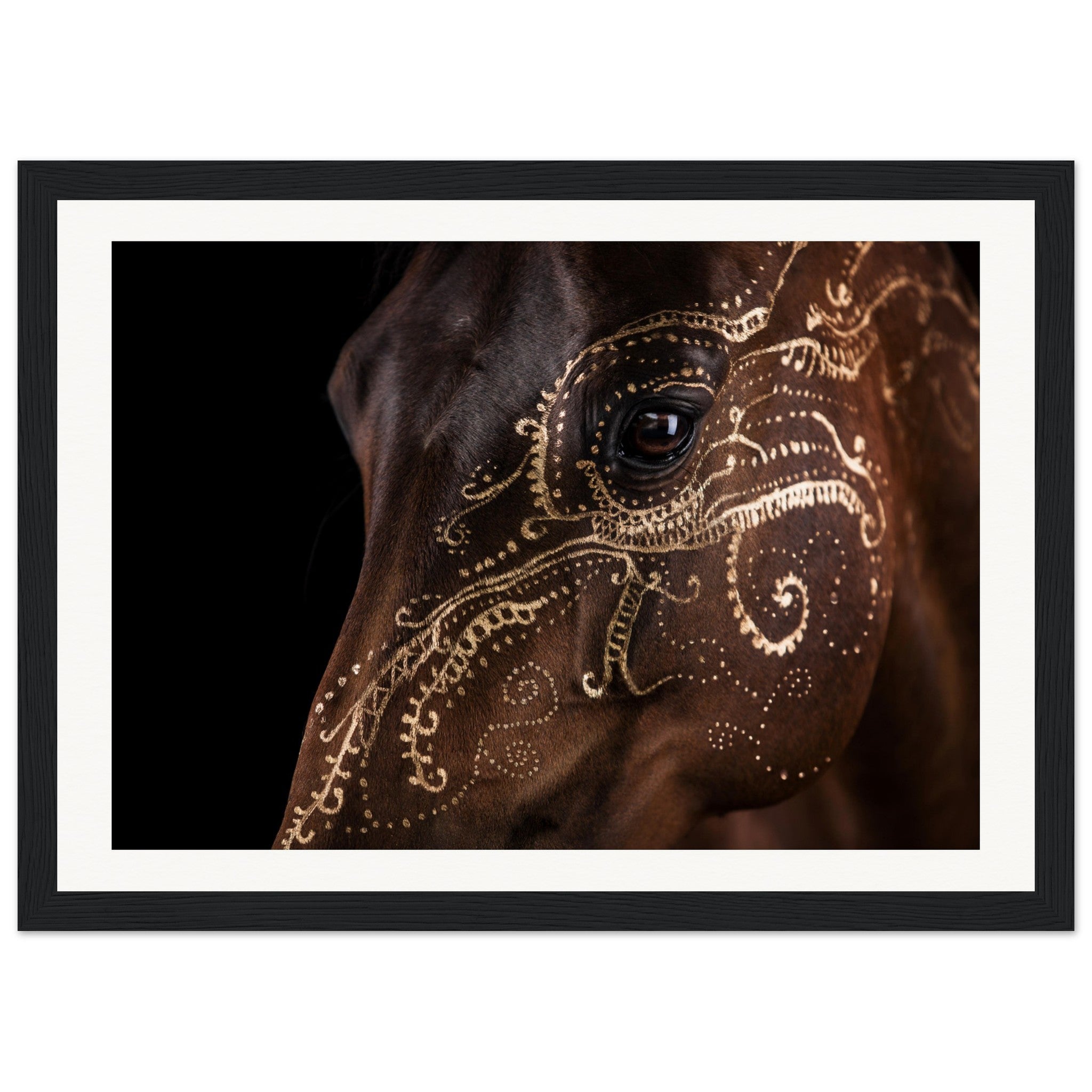 98f96610-75c1-4b1b-abb4-7ee7cbbc4679