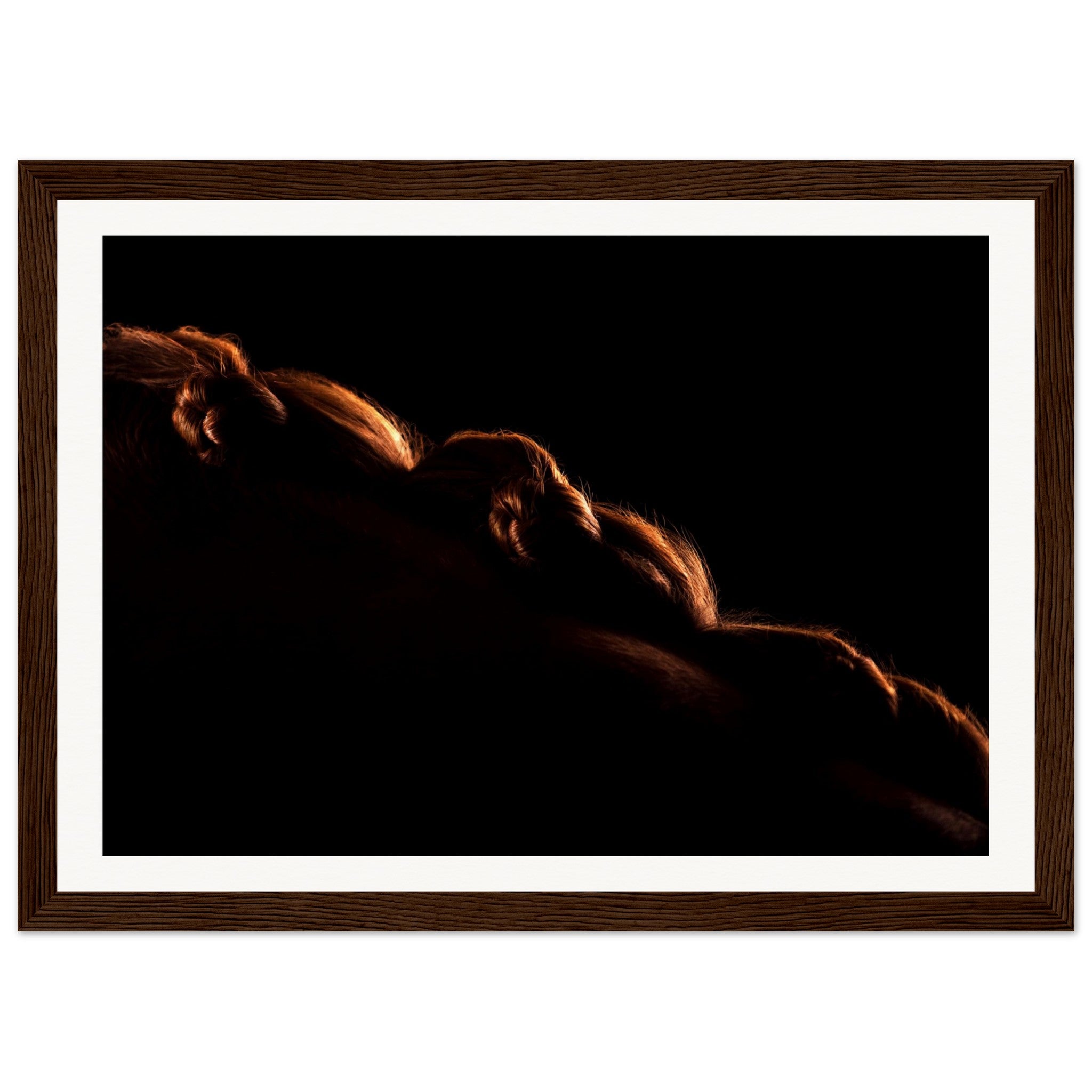 995b83d5-0373-4574-aa1b-ebc94059b525