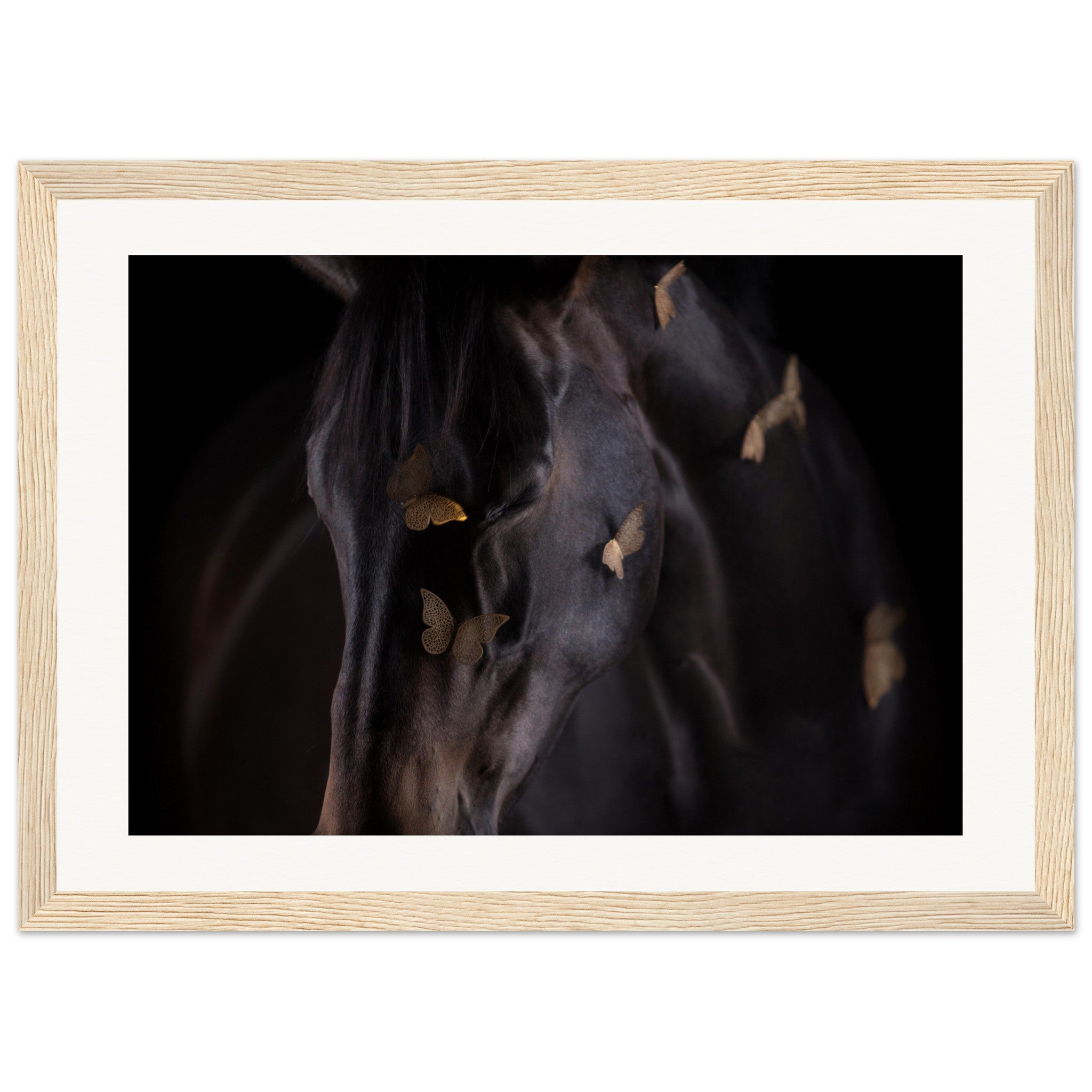 999bbd19-b148-42f7-8b89-85f952702185