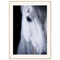 99bb2ed5-e74e-4706-9a8b-f67f7e5b0b1b