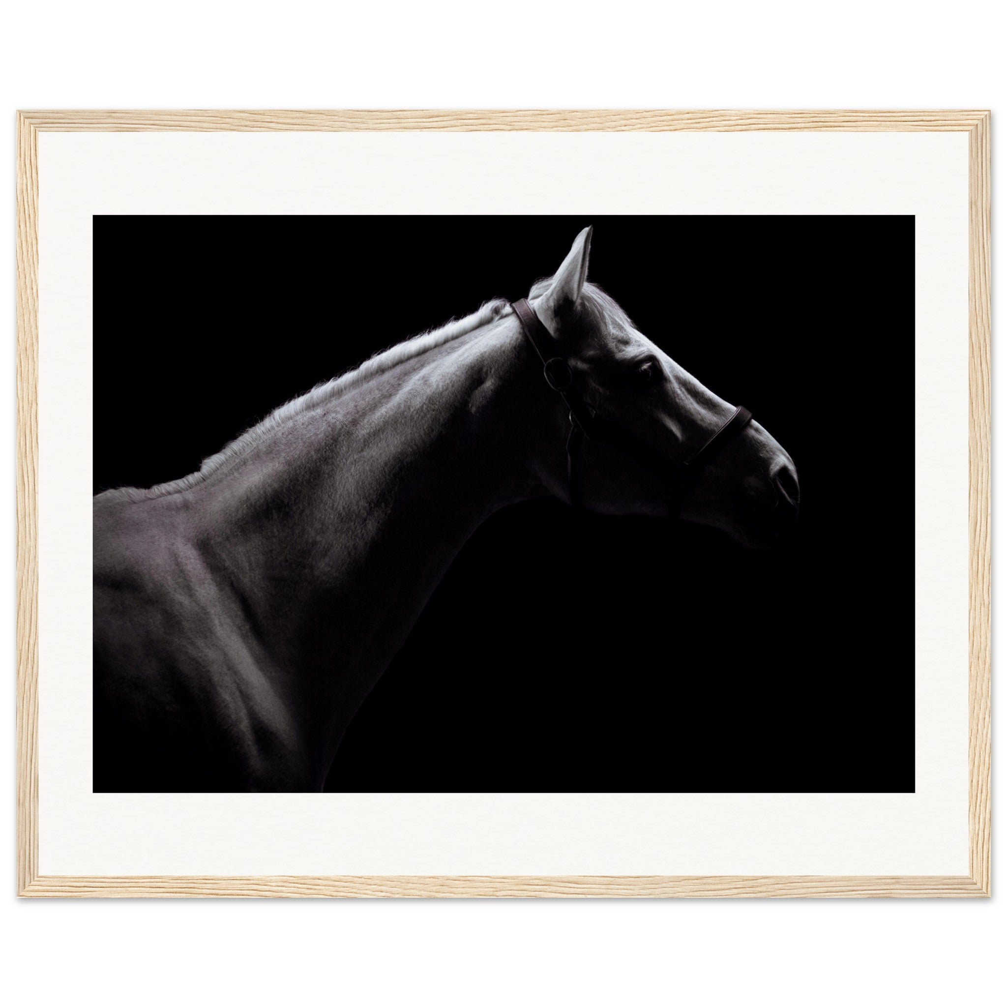 99bc2847-7dc7-44fe-9c60-914496c3d21c