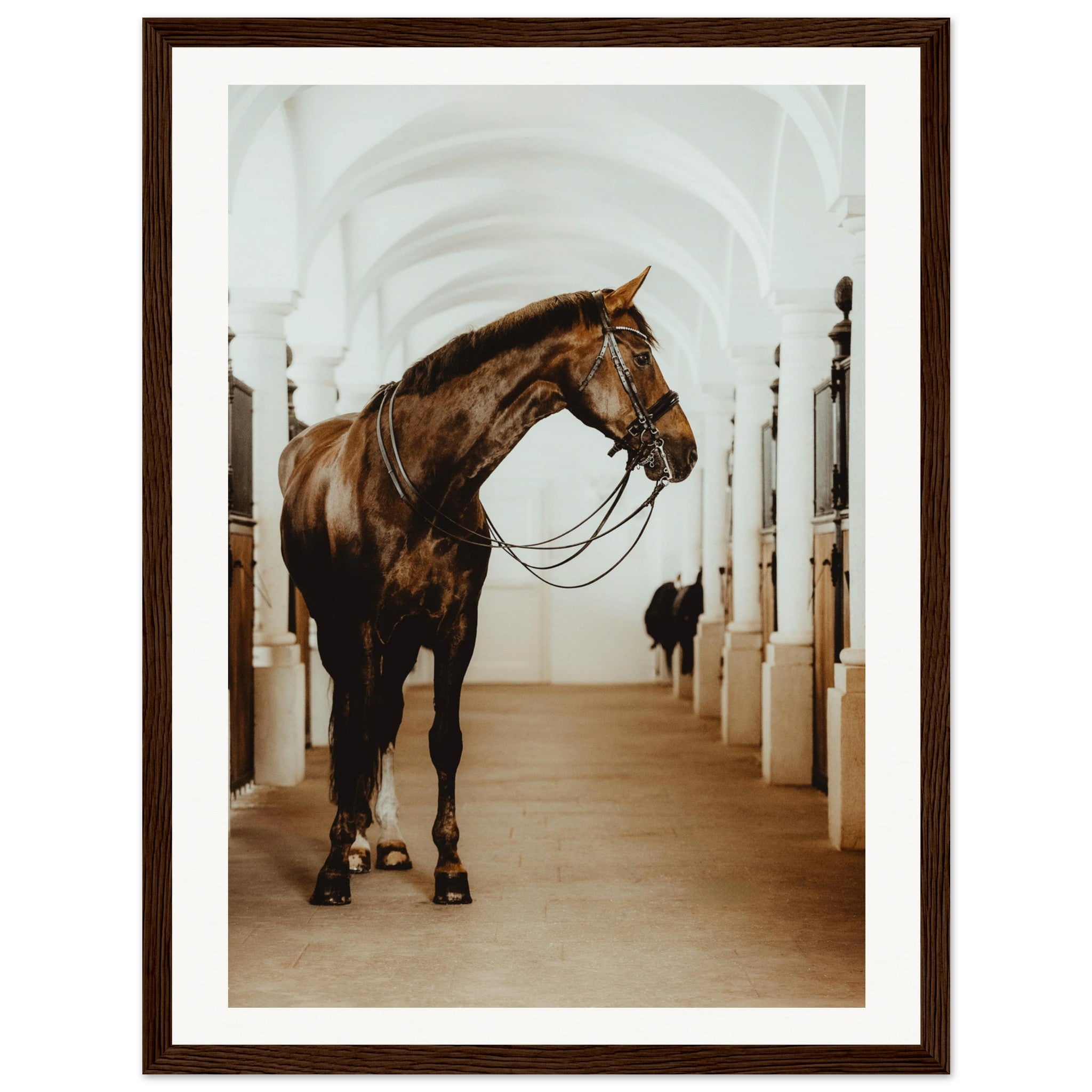 99dbd173-b076-4942-a242-8fd88f9dbddd