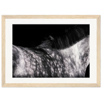 9a07d5ec-8262-4b62-95ca-4e40eba6506b