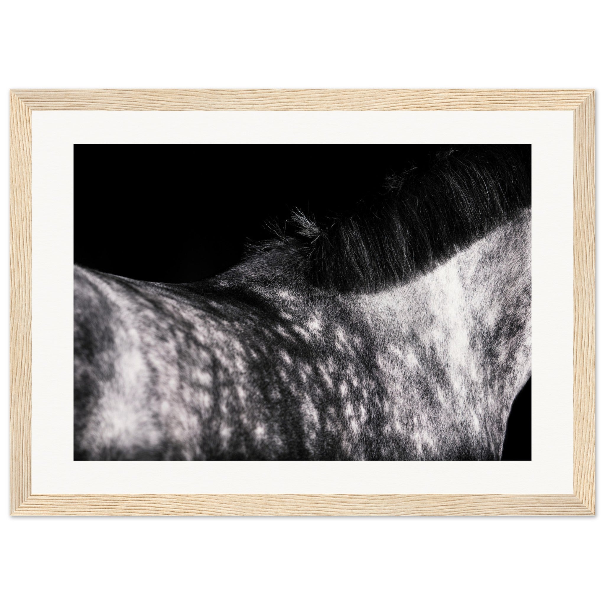 9a07d5ec-8262-4b62-95ca-4e40eba6506b