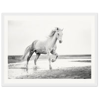 9a81d829-1a86-4ab1-bd99-14ac591c7a83