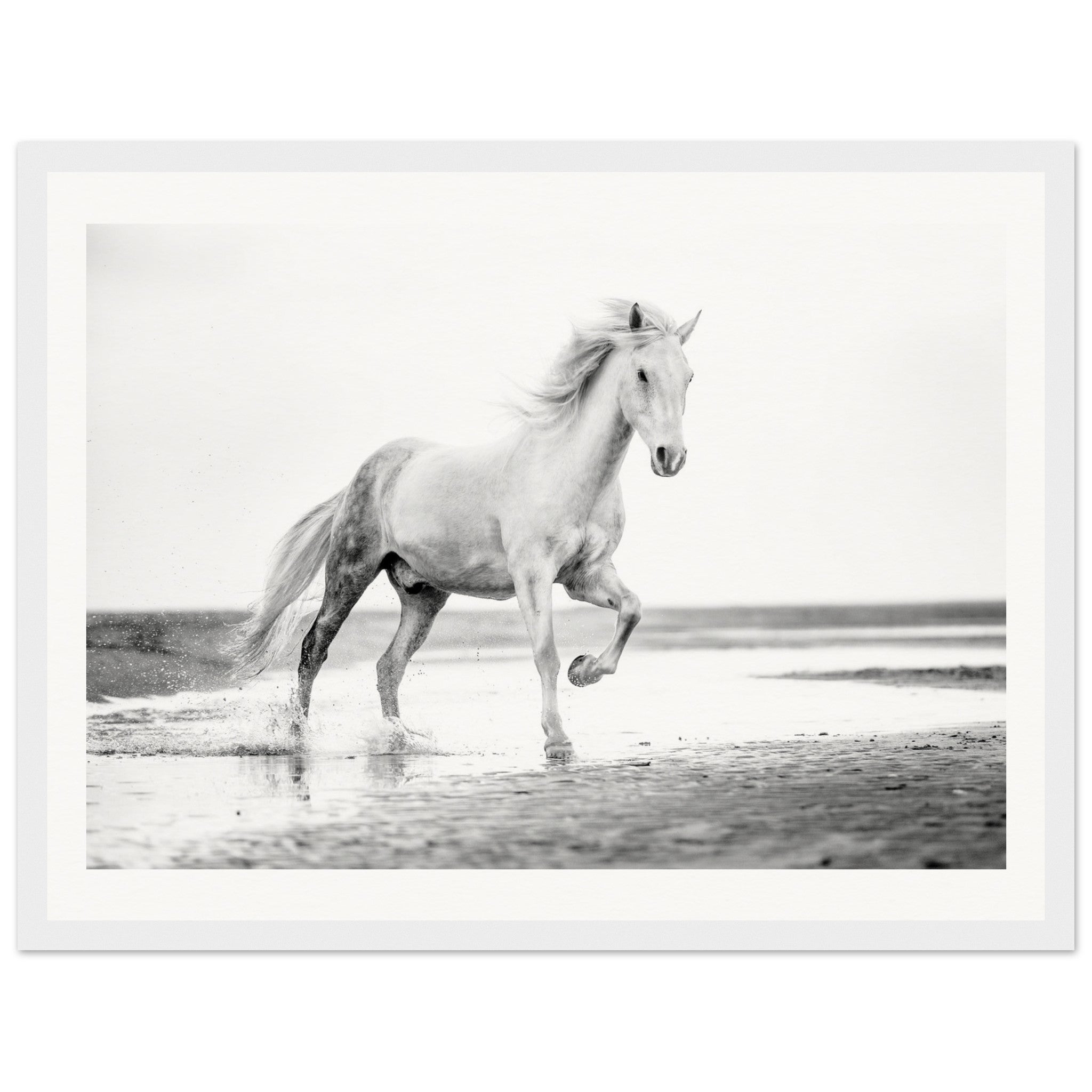 9a81d829-1a86-4ab1-bd99-14ac591c7a83