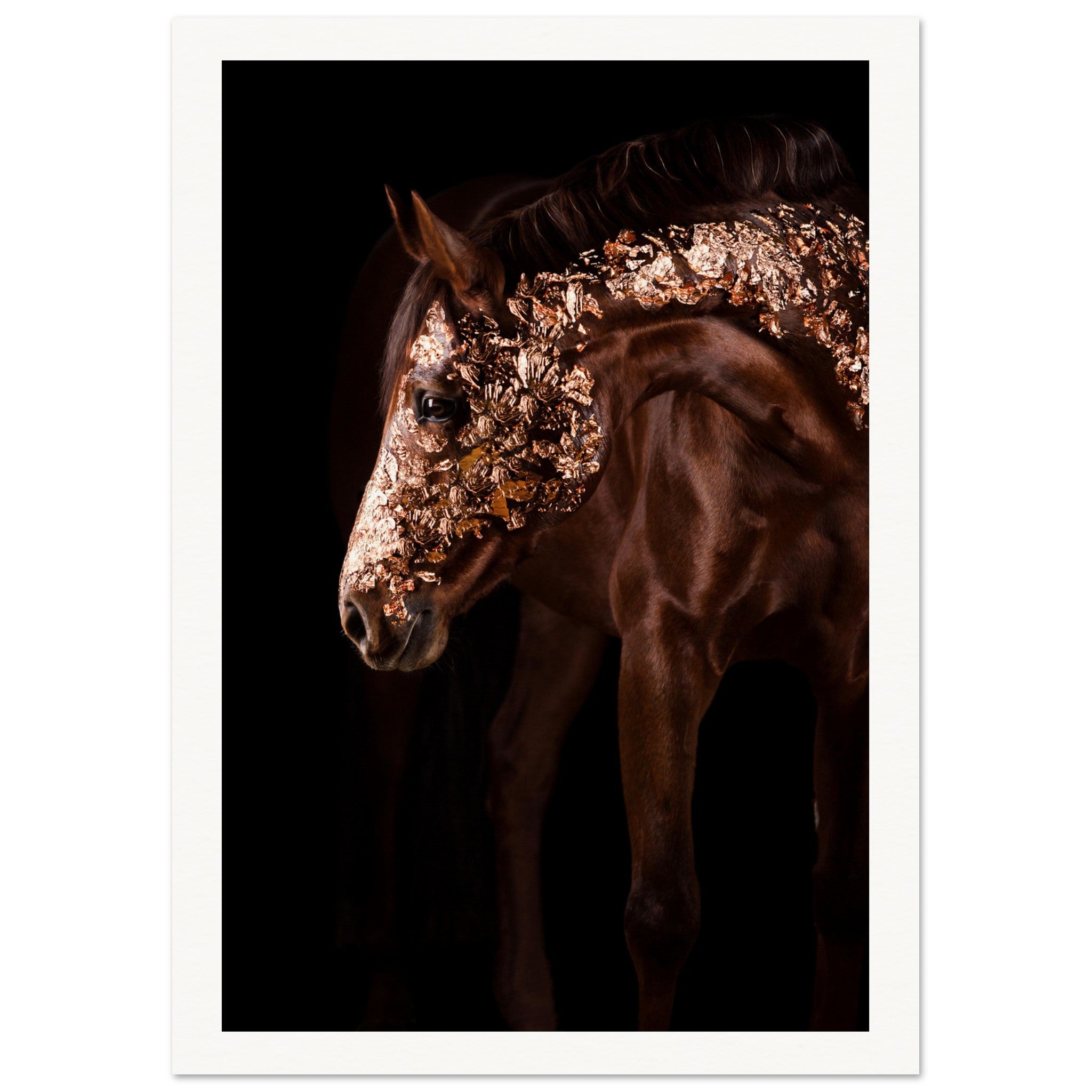 9a8b71ab-7bec-4c30-9e98-1c7751fd72d1