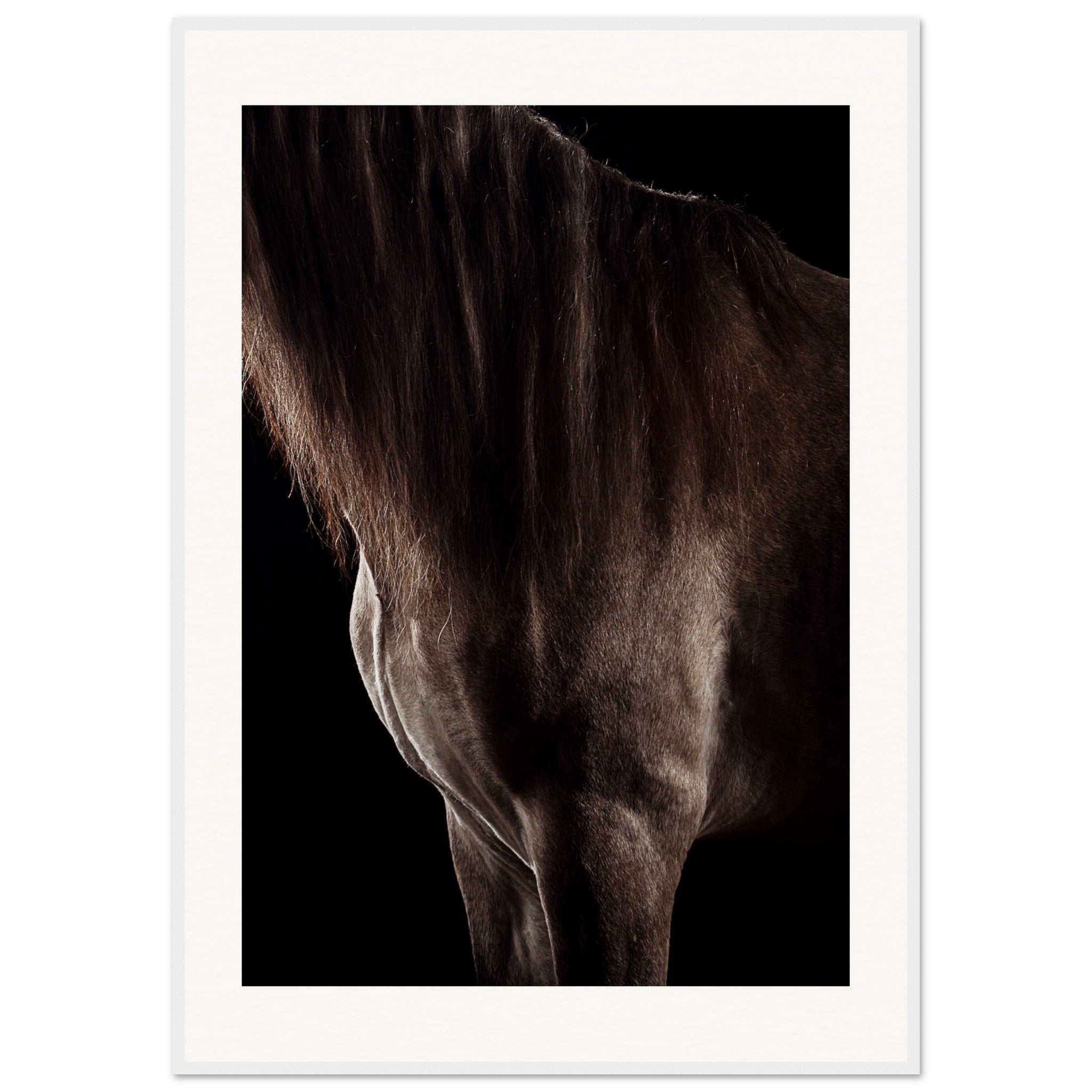 9aa5d3b0-0ea9-43b1-894f-8c78551bbce3